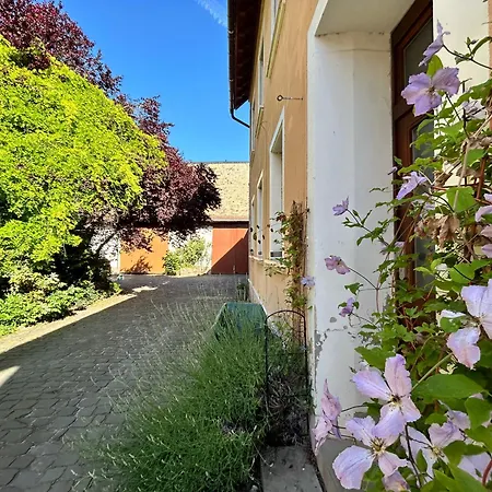 Ferienwohnung Amelie Alzey Exterior foto